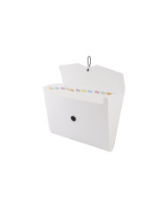 TECZKA D.RECT A4 5580 12 PRZEGRÓDEK BIAŁA