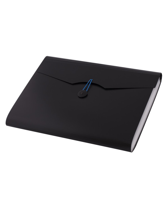 TECZKA D.RECT A4 5580 12 PRZEGRÓDEK CZARNA
